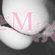 ヒメ日記 2025/04/07 08:34 投稿 らな カノジョ感　逆セーラー服しか勝たん　錦店