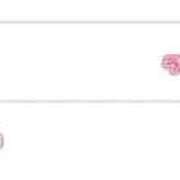 ヒメ日記 2025/09/08 12:04 投稿 れな カノジョ感　逆セーラー服しか勝たん　錦店