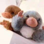 ヒメ日記 2025/10/10 19:34 投稿 れな カノジョ感　逆セーラー服しか勝たん　錦店