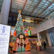 ヒメ日記 2025/11/21 18:44 投稿 れな カノジョ感　逆セーラー服しか勝たん　錦店