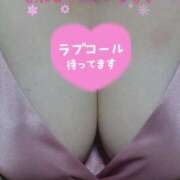 ヒメ日記 2025/07/14 08:18 投稿 きらら 兵庫姫路・加古川ちゃんこ