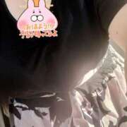 ヒメ日記 2025/07/21 17:28 投稿 きらら 兵庫姫路・加古川ちゃんこ