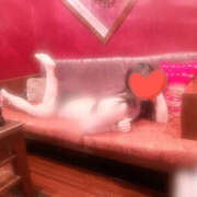 ヒメ日記 2025/02/23 19:48 投稿 つばき One More奥様　厚木店