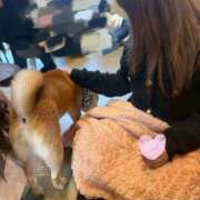 ヒメ日記 2025/12/03 17:35 投稿 はるの 新宿11チャンネル