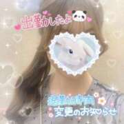 ヒメ日記 2025/08/14 19:58 投稿 えりな ジュエルズ(池袋)