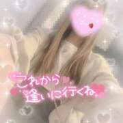 ヒメ日記 2025/09/23 17:48 投稿 えりな ジュエルズ(池袋)