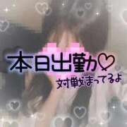 ヒメ日記 2025/11/26 12:48 投稿 えりな ジュエルズ(池袋)