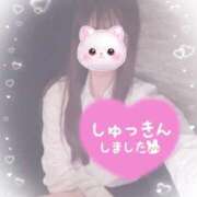 ヒメ日記 2026/02/17 15:09 投稿 えりな ジュエルズ(池袋)