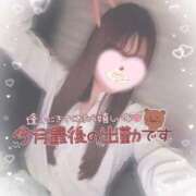 ヒメ日記 2026/04/30 12:38 投稿 えりな ジュエルズ(池袋)