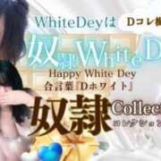 ヒメ日記 2025/03/12 10:00 投稿 ひいろ 奴隷コレクション梅田店