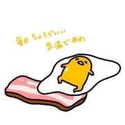 ヒメ日記 2025/05/23 02:53 投稿 ひいろ 奴隷コレクション梅田店