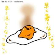 ヒメ日記 2025/07/12 01:43 投稿 ひいろ 奴隷コレクション梅田店