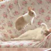 ヒメ日記 2025/08/02 01:08 投稿 ひいろ 奴隷コレクション梅田店