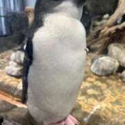 ヒメ日記 2026/02/10 17:21 投稿 ひいろ 奴隷コレクション梅田店