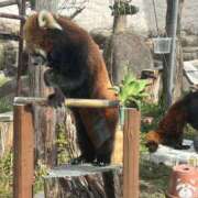 ヒメ日記 2026/02/20 18:22 投稿 ひいろ 奴隷コレクション梅田店