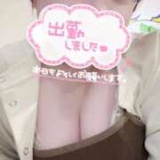 ヒメ日記 2025/11/14 16:03 投稿 きよ ぽちゃSPA