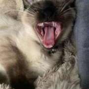 ヒメ日記 2026/03/28 17:22 投稿 あゆ 推しの娘