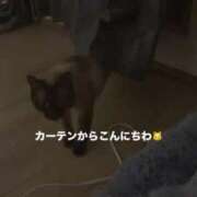ヒメ日記 2026/05/29 20:13 投稿 あゆ 推しの娘2nd