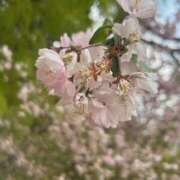 ヒメ日記 2025/04/29 17:28 投稿 るか ホテピン