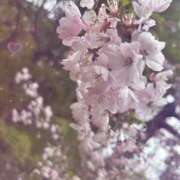 ヒメ日記 2025/06/17 12:28 投稿 るか ホテピン