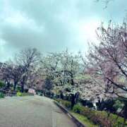ヒメ日記 2026/04/29 11:48 投稿 るか ホテピン