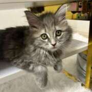 みく ⚠️ 推しの娘