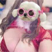 ヒメ日記 2025/11/16 14:05 投稿 めんま ぷるるんギャング