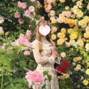 ヒメ日記 2025/12/31 10:55 投稿 めんま ぷるるんギャング