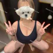 ヒメ日記 2026/01/15 17:05 投稿 めんま ぷるるんギャング