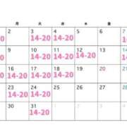 ヒメ日記 2026/02/24 18:35 投稿 めんま ぷるるんギャング