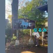 ヒメ日記 2026/03/14 05:32 投稿 なるみ 熟女の風俗最終章 新宿店