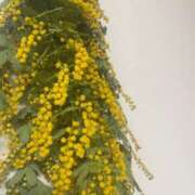 大地 あやめ お礼 30代40代50代と遊ぶなら博多人妻専科24時