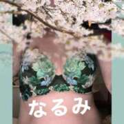 ヒメ日記 2026/04/05 07:02 投稿 なるみ 熟女の風俗最終章 池袋店