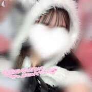 ヒメ日記 2025/09/13 12:04 投稿 ふう奥様 なすがママされるがママ