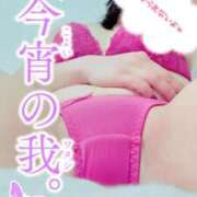 ヒメ日記 2025/02/12 19:07 投稿 沙和（さわ） 人妻の蜜