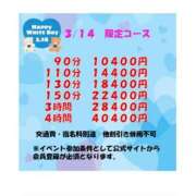 ヒメ日記 2025/03/14 15:46 投稿 ひかる 新潟市鳥屋野潟ちゃんこ