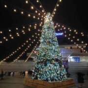 ヒメ日記 2025/12/24 08:06 投稿 ひかる 新潟市鳥屋野潟ちゃんこ