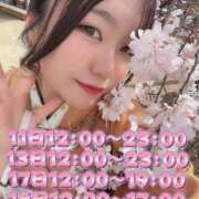 ヒメ日記 2025/04/01 21:39 投稿 五十嵐　せな モデルコレクション 五反田店