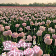 ヒメ日記 2025/05/23 12:26 投稿 あかね 栃木小山ちゃんこ