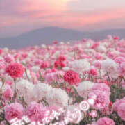 ヒメ日記 2025/05/23 13:56 投稿 あかね 栃木小山ちゃんこ