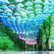 ヒメ日記 2025/06/11 07:15 投稿 あかね 栃木小山ちゃんこ