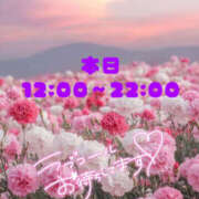 ヒメ日記 2025/06/22 07:31 投稿 あかね 栃木小山ちゃんこ