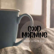 ヒメ日記 2025/06/28 09:52 投稿 あかね 栃木小山ちゃんこ