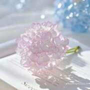 ヒメ日記 2025/07/12 20:10 投稿 あかね 栃木小山ちゃんこ