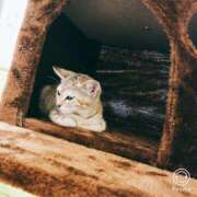 ヒメ日記 2025/08/15 15:52 投稿 あかね 栃木小山ちゃんこ