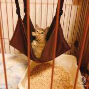 ヒメ日記 2025/08/16 22:00 投稿 あかね 栃木小山ちゃんこ