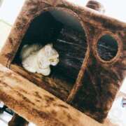 ヒメ日記 2025/09/07 22:10 投稿 あかね 栃木小山ちゃんこ