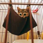 ヒメ日記 2025/09/11 19:06 投稿 あかね 栃木小山ちゃんこ