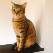 ヒメ日記 2025/09/18 12:18 投稿 あかね 栃木小山ちゃんこ