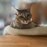 ヒメ日記 2025/10/07 23:43 投稿 あかね 栃木小山ちゃんこ